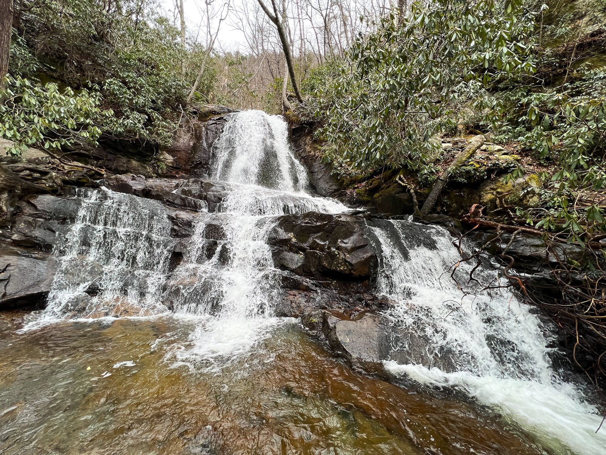 Laurel Falls Trail